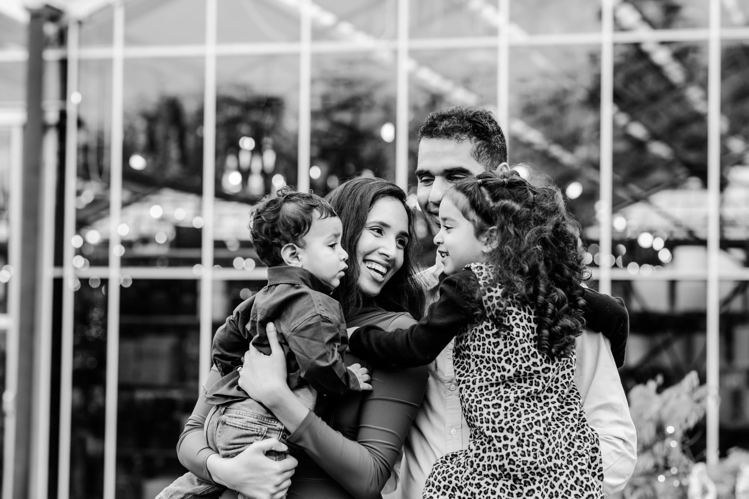 seattle lifestyle photographer - tree farm mini sessions