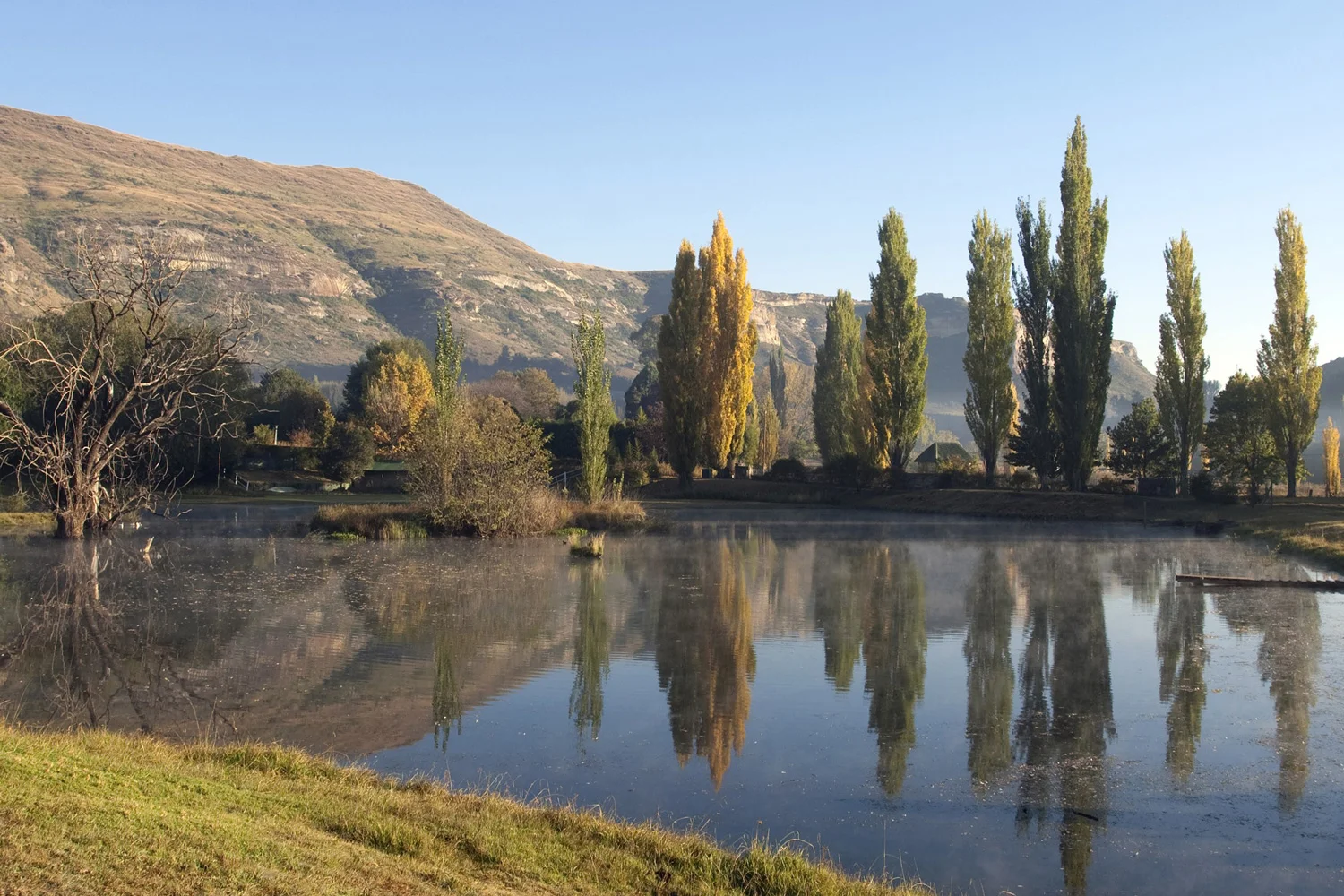 South-Africa---FS.jpg