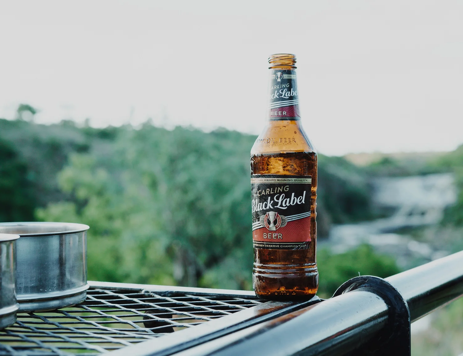 blacklabel.jpg