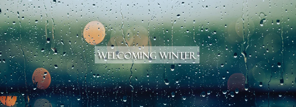 Welcoming Winter