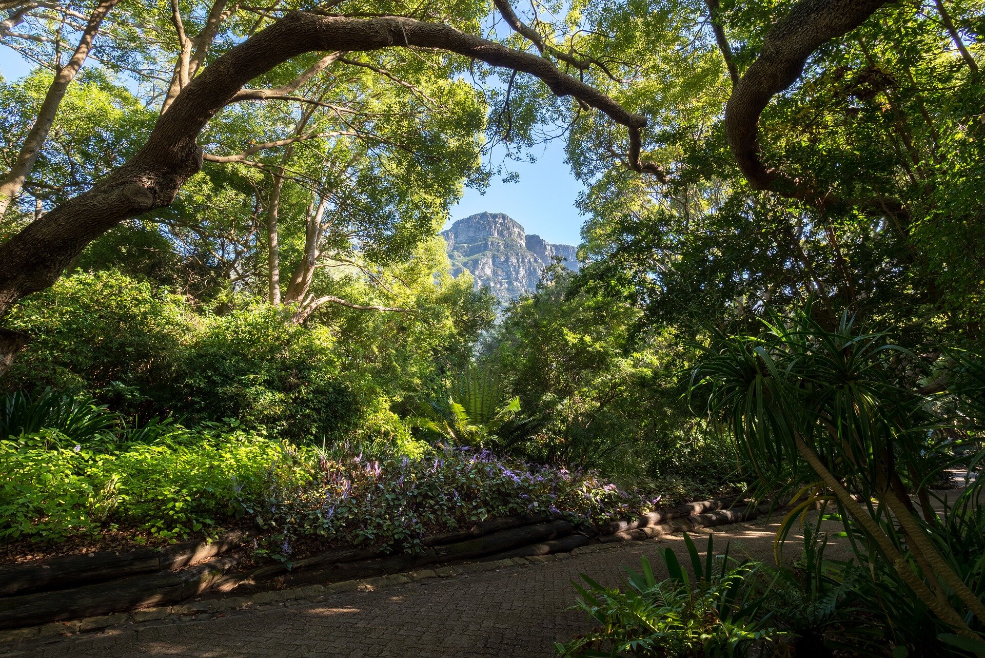 Kirstenbosch (2).jpg