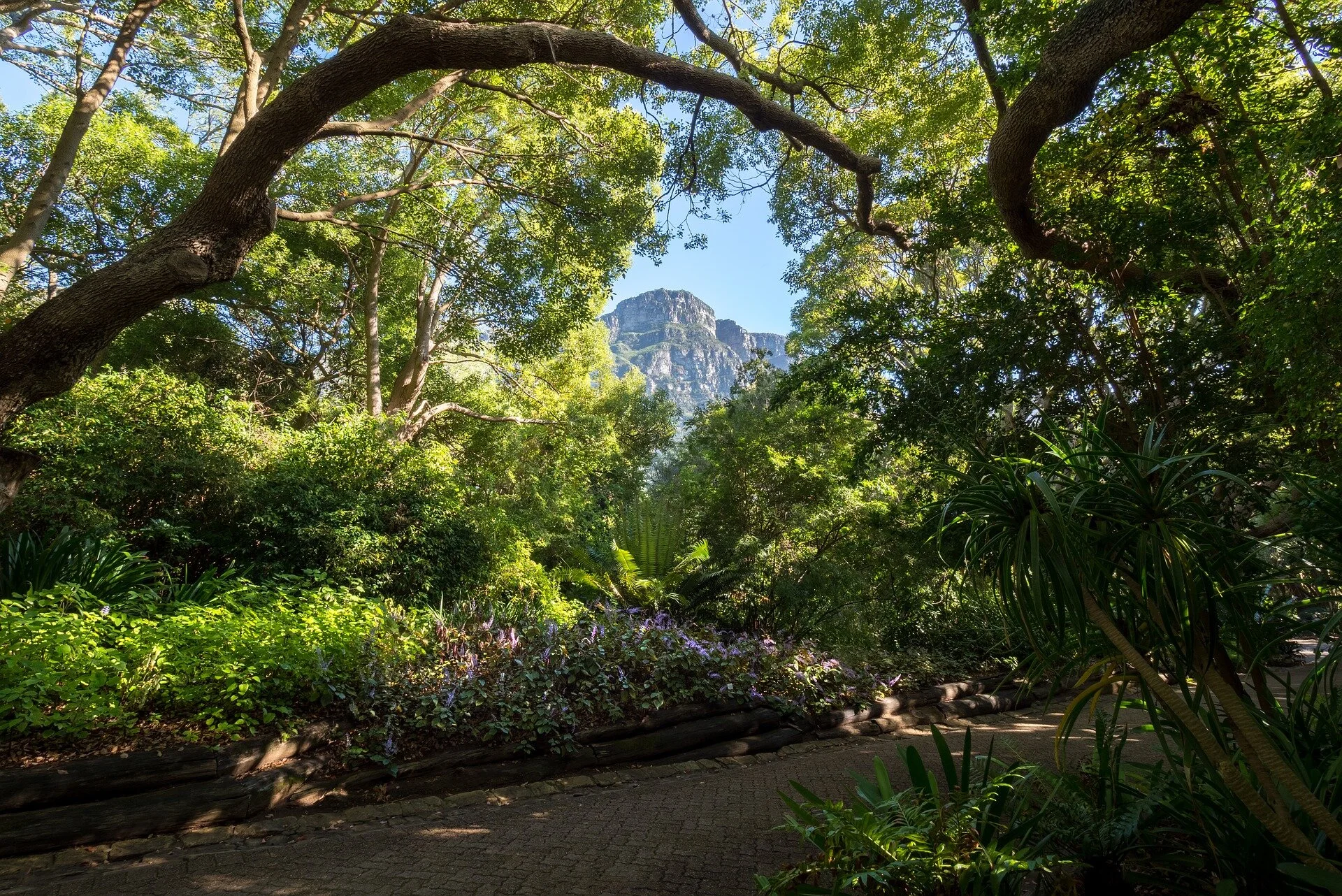 Top Picnic Spots in Cape Town — Private Safaris