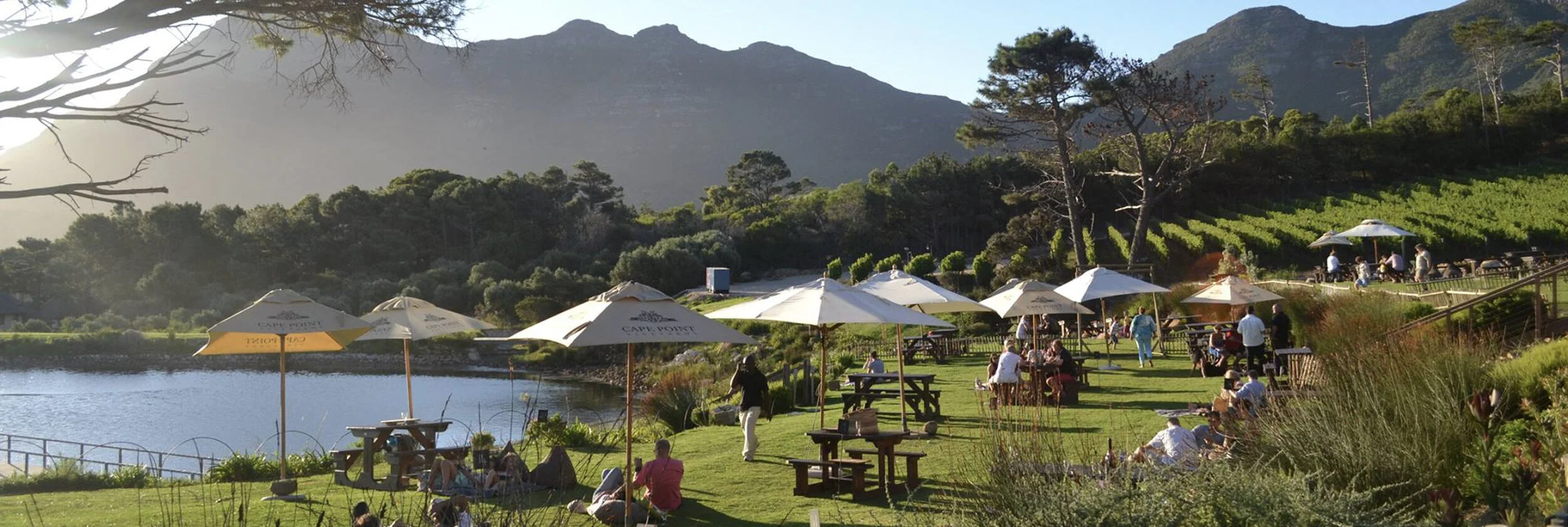 Top Picnic Spots in Cape Town — Private Safaris