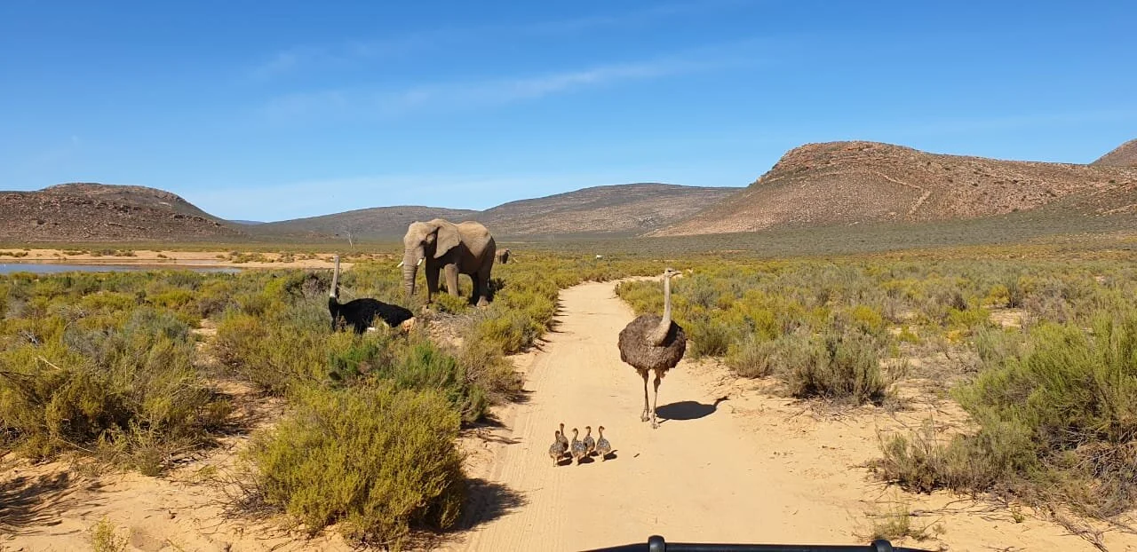 The Importance of a DMC When Booking for Families on Holiday