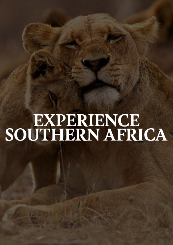 Experience Southern Africa Presentation (Copy)