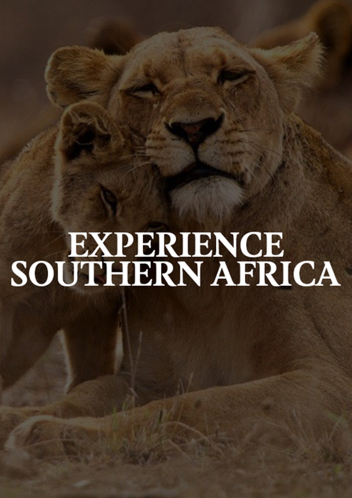 exeprience+southern+africa - website cover.jpg