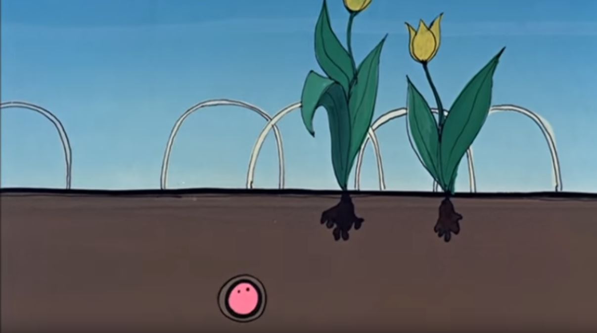 NAISSANCE DE BARBAPAPA 1.JPG
