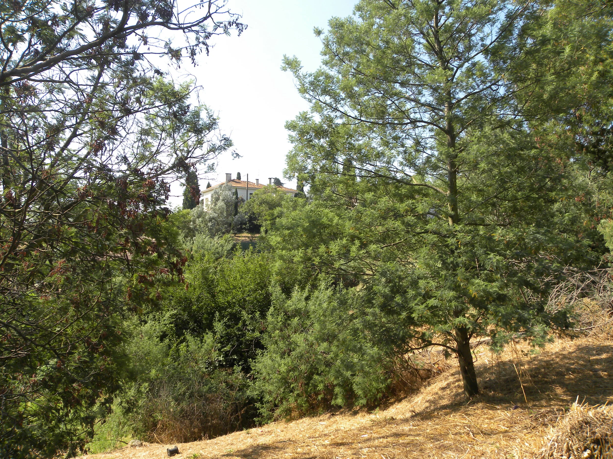 DSCN2945.jpg