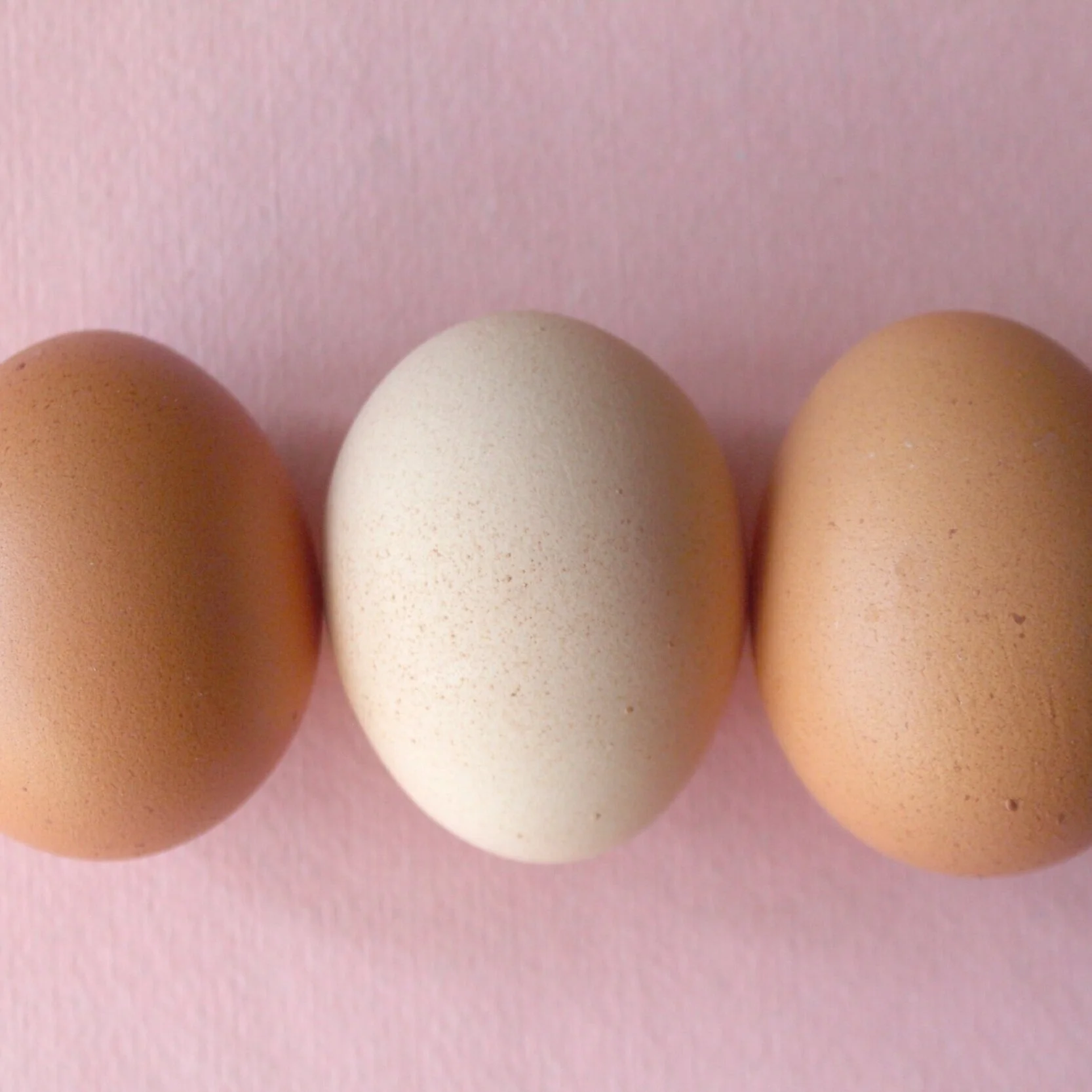 How can I tell if my egg is fresh? — Windellama Organics