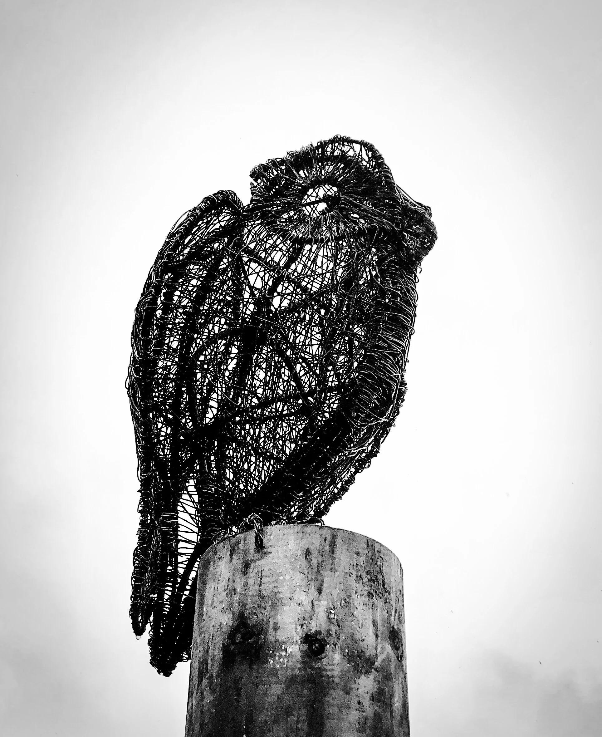 Westend Owl Sculpture