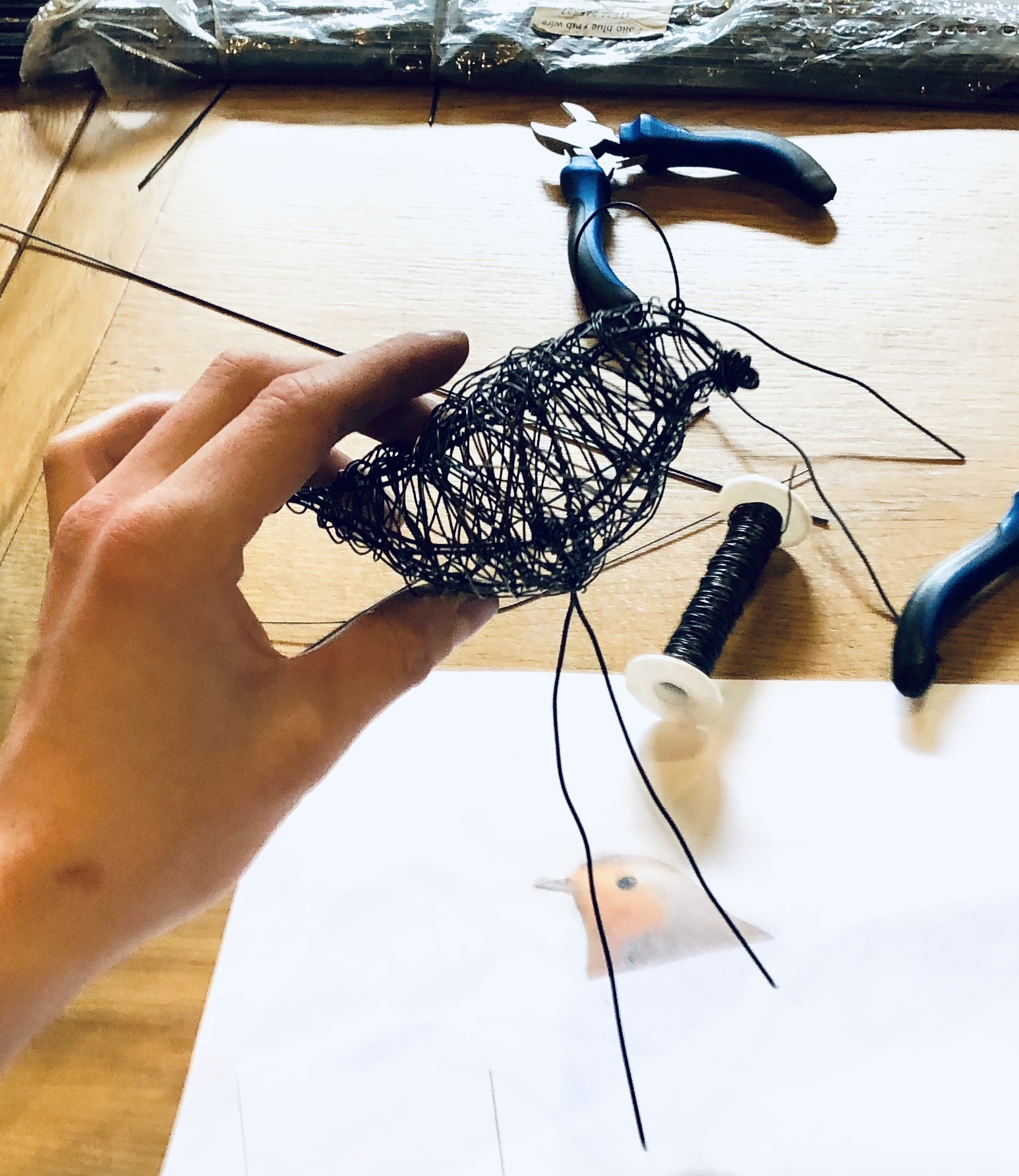 Leeds University and Wire Birds
