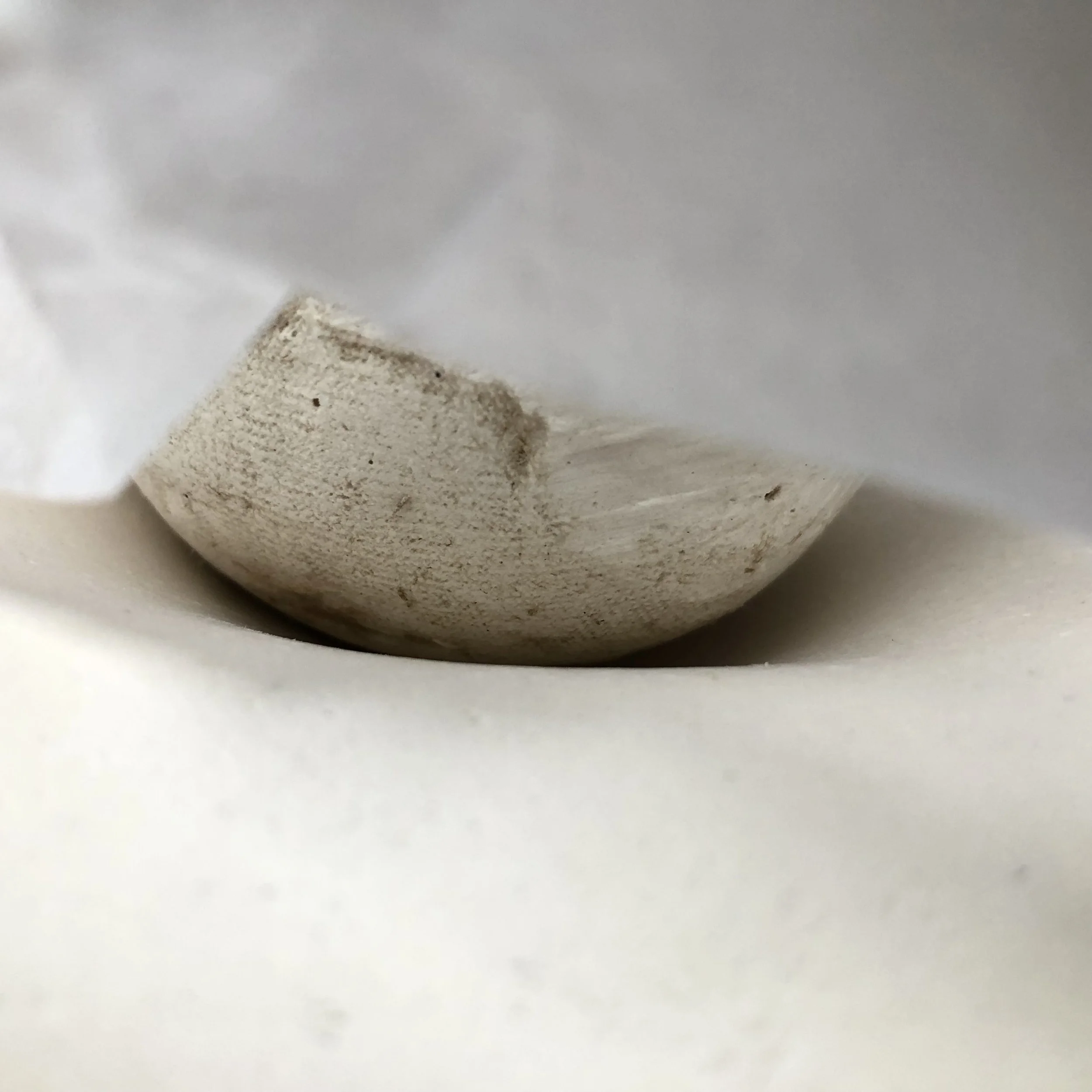 Plaster forms and wet tissue paper