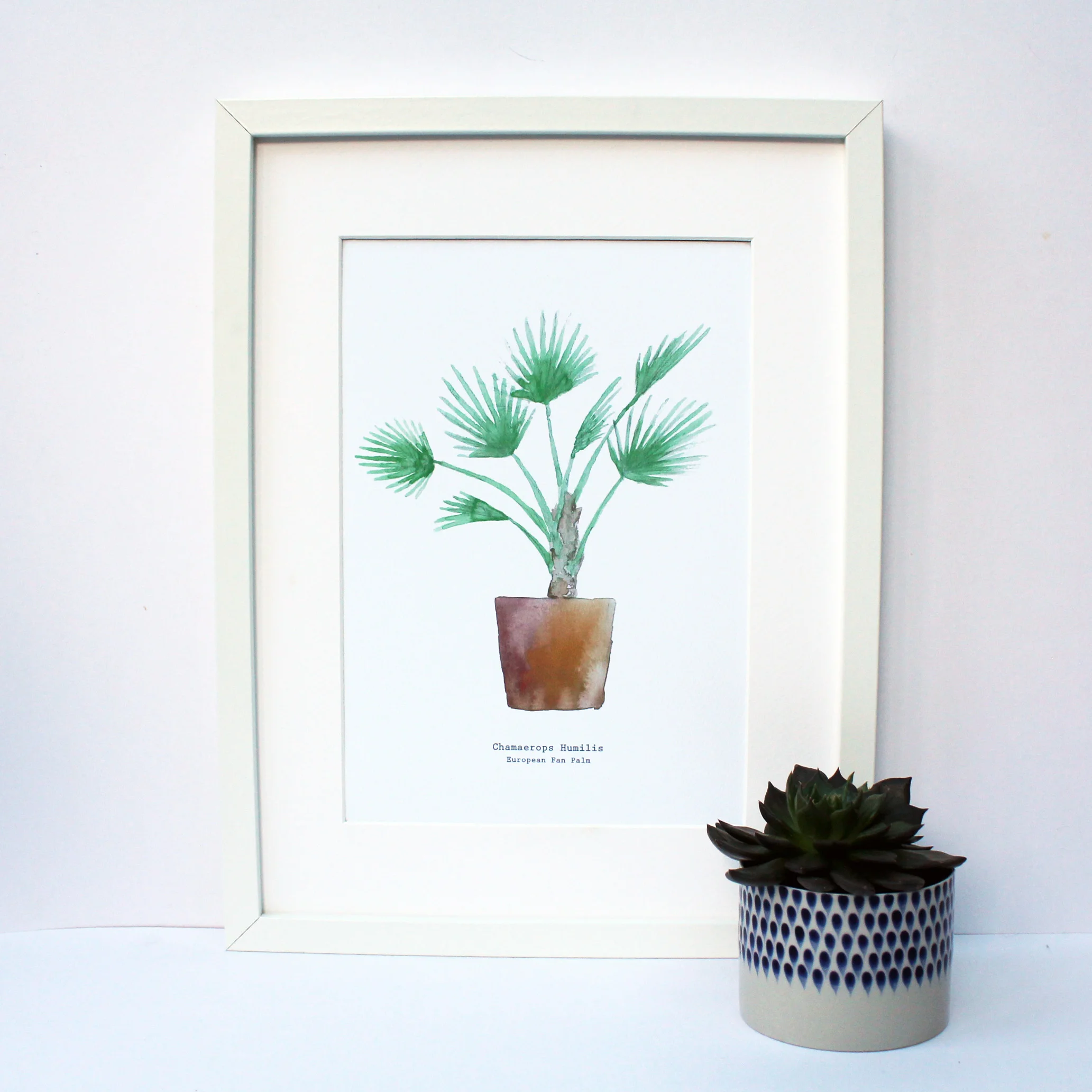 palm.jpg