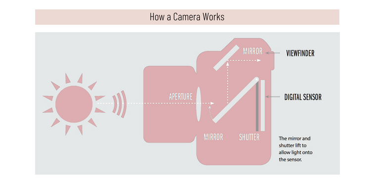 How a camera works.png