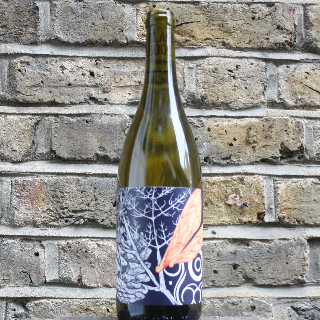 2023 "Tamesis" Bacchus