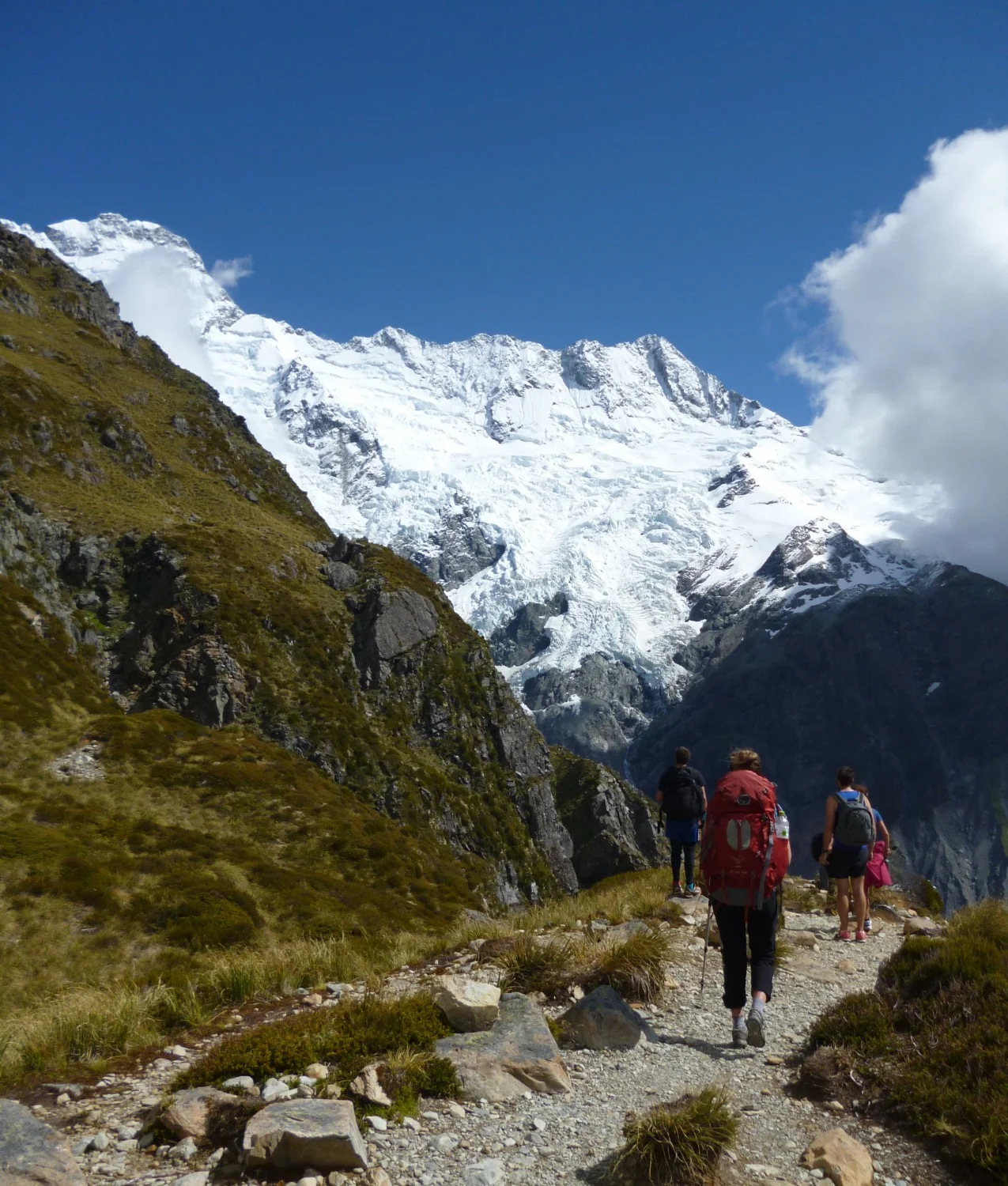 mueller-hut-hike-pic1.jpg