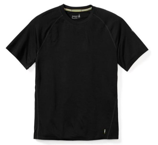 stock-smartwool-merino-150-tshirt.jpg