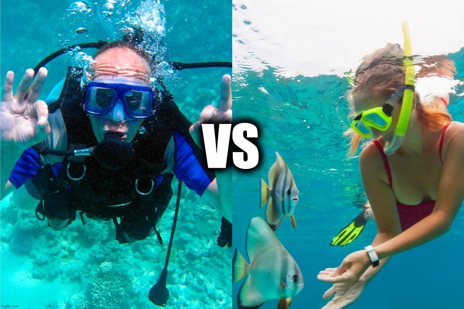 Free Diving vs Scuba Diving: Which Should I Choose?