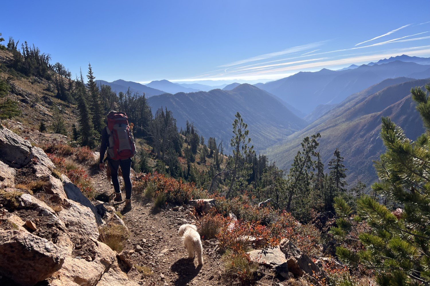 Best Women's Hiking Leggings [2023 UPDATE] — Ultimate Gear Lists
