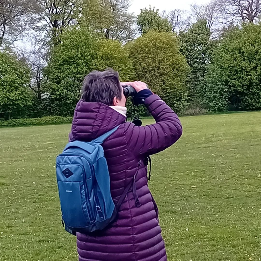 Wonderful to see such a great turnout for our early morning Bird Walk. We saw or heard blackbirds, wrens, song thrush, chiff chaff, black cap, lesser spotted woodpecker, bluetits, robins, nuthatch, wood pigeons, magpies, gulls, cormorants...and of co