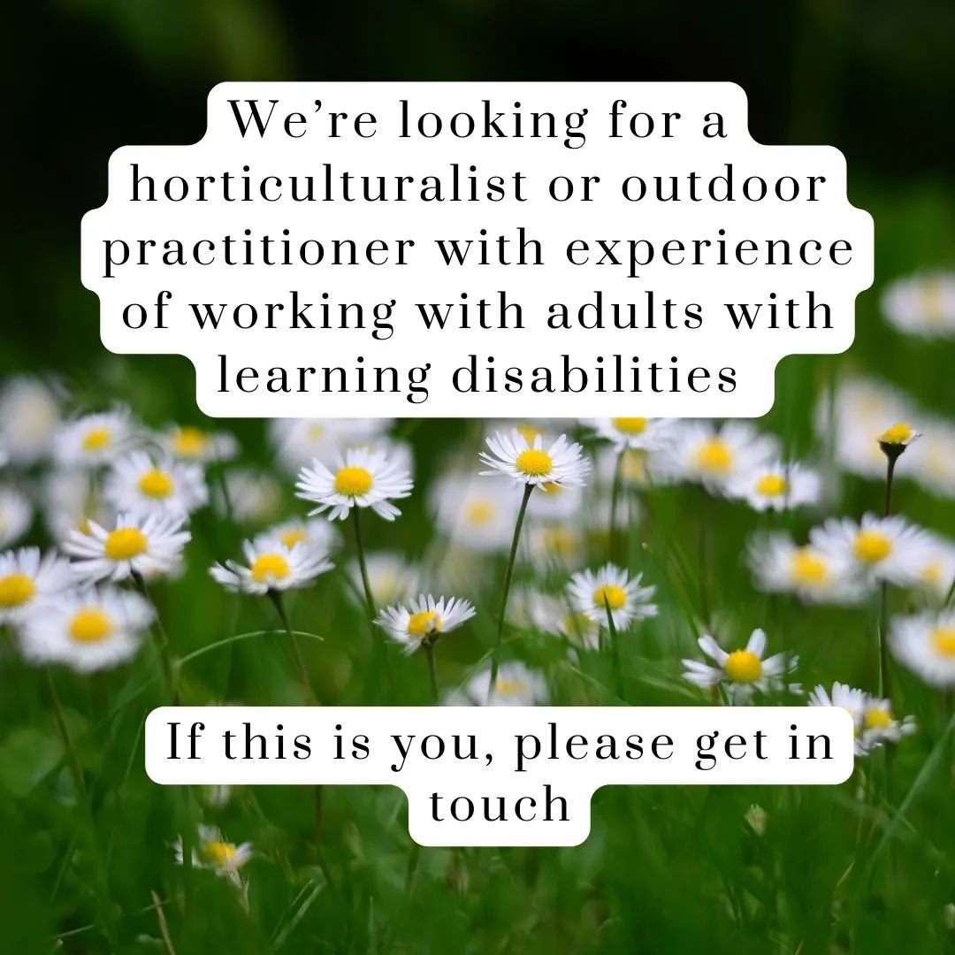 We're looking for a sessional outdoor practitioner with experience working with people with learning disabilities or in care settings. Initially this will be for a freelance project-based contract. Please email CV or biog to growingsudley.com

Please