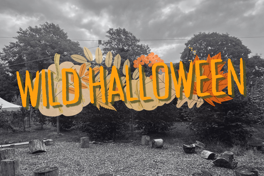 wild+halloween+image+only.png