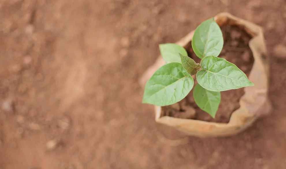 #GardensforClimate Part I: Let's Cross Sectors