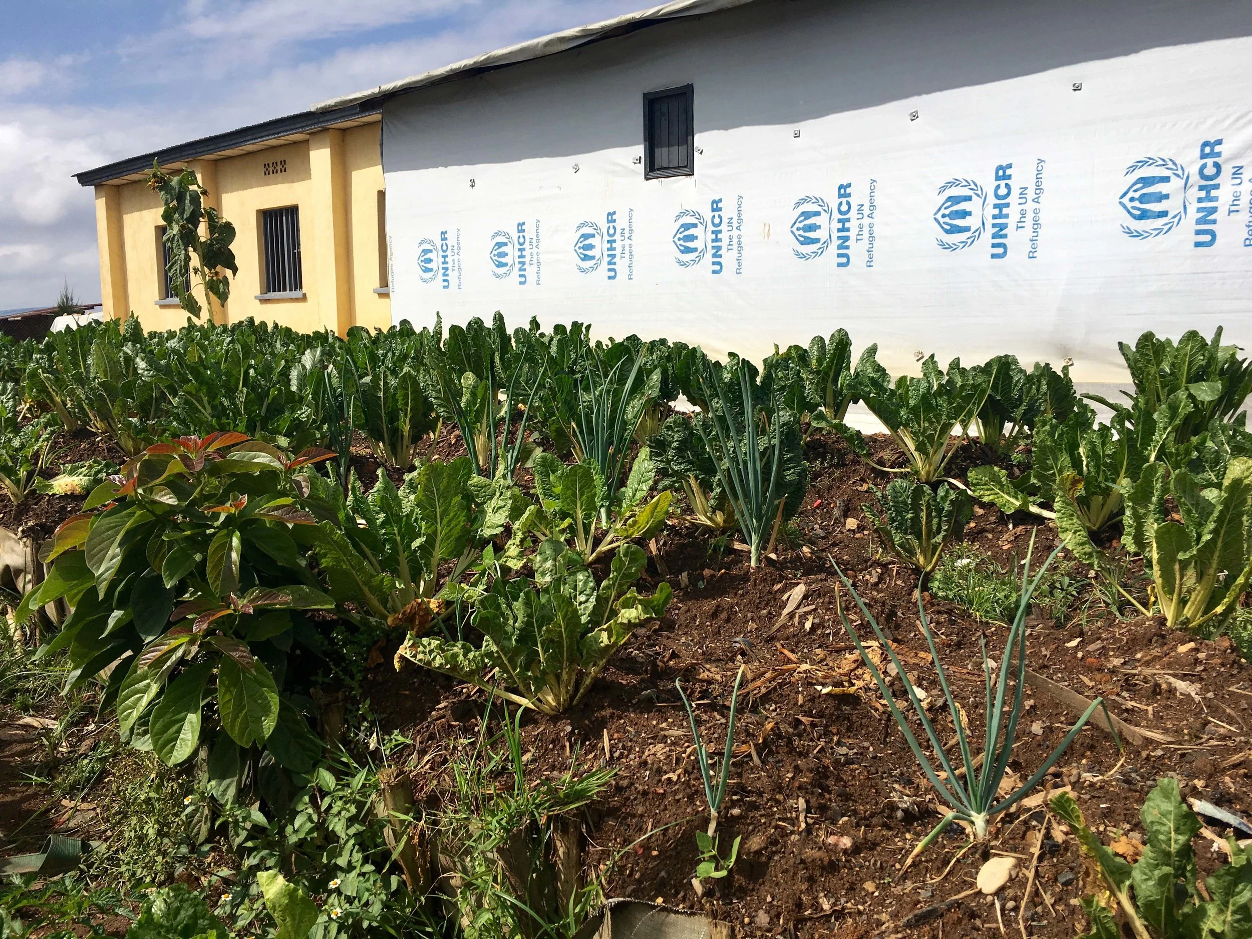 Kigeme Refugee Camp Training