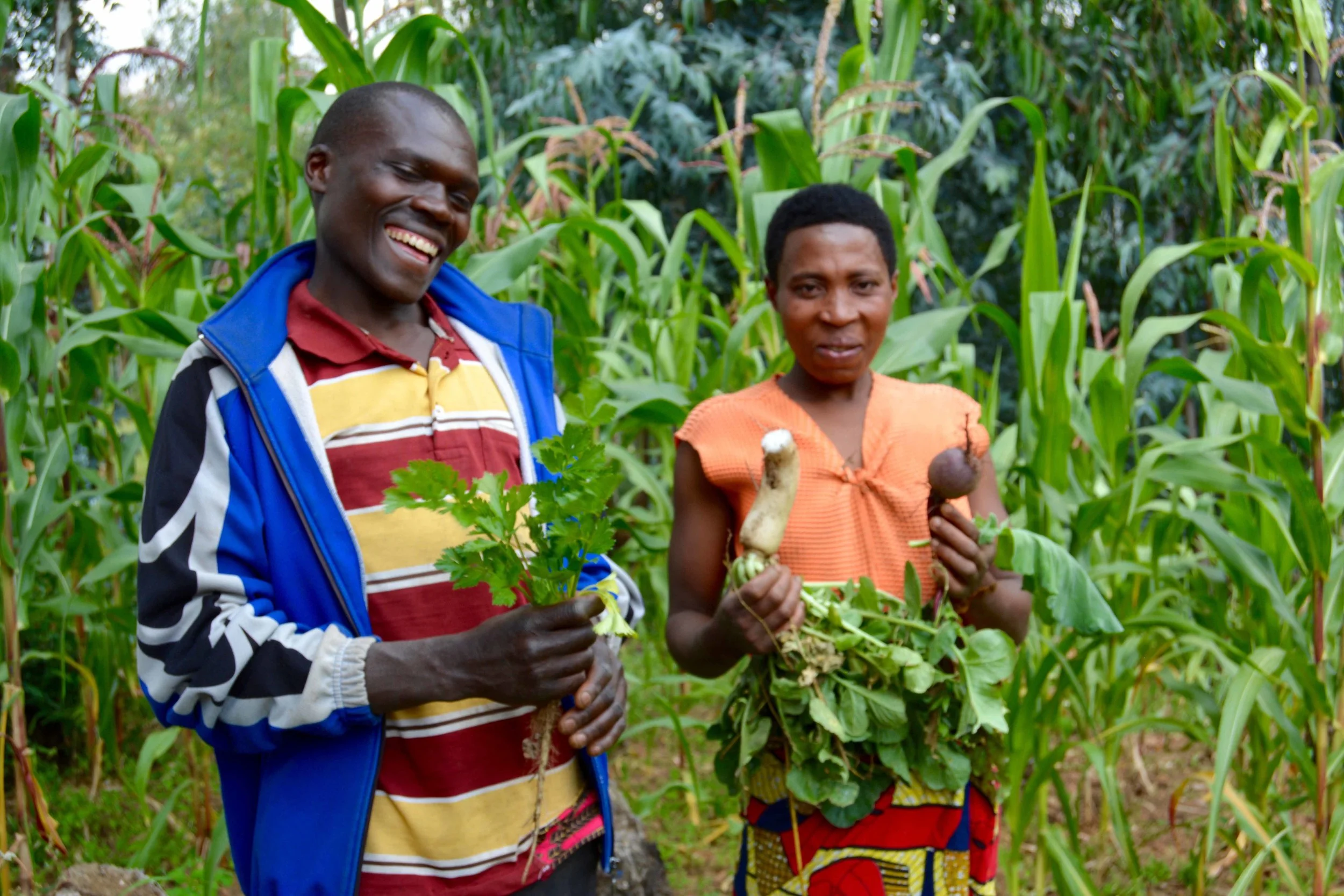 Food Source and Consumption Patterns in GHI Partner Families