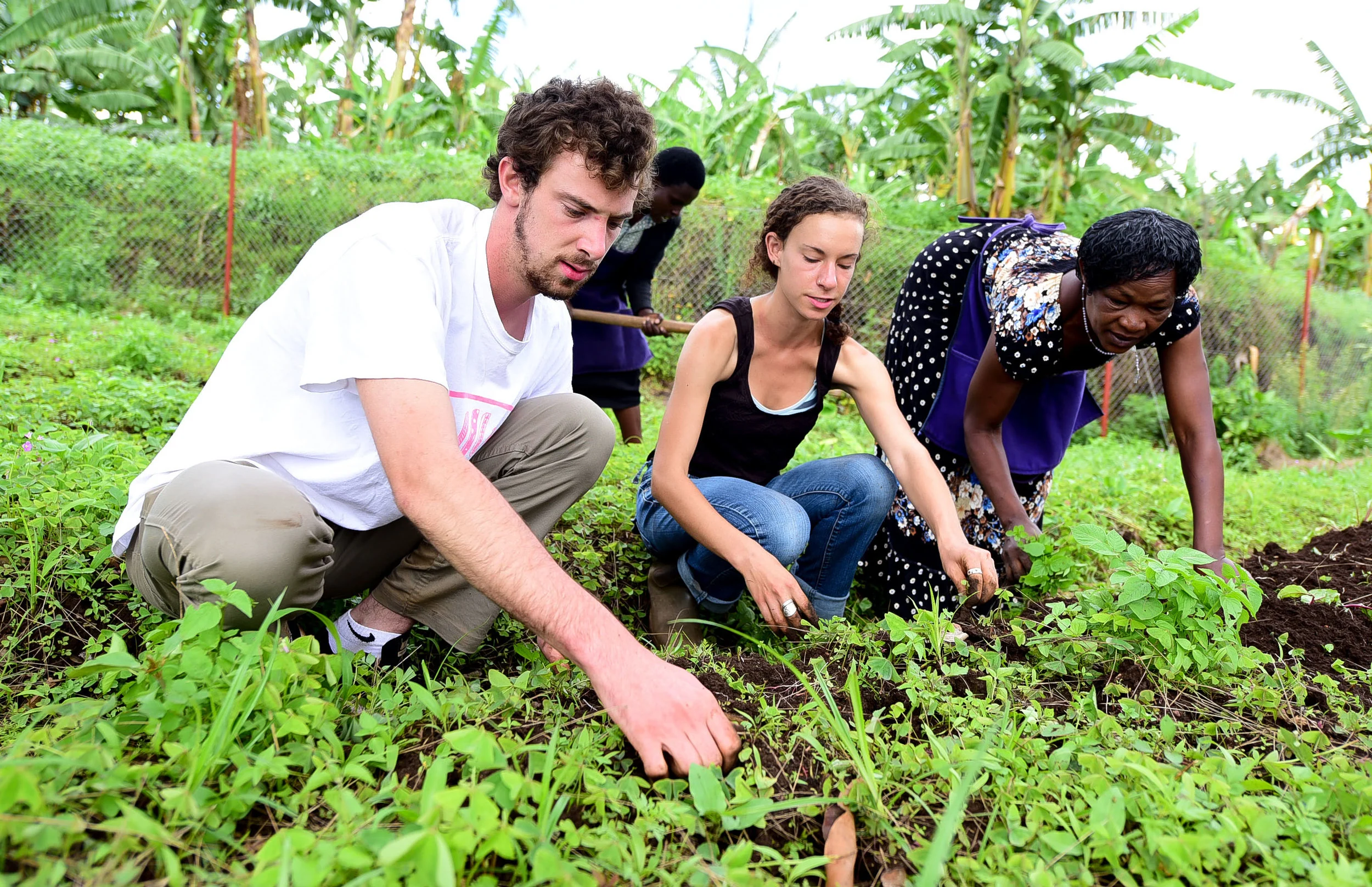 GHI staff visits the garden plot bi-weekly for consultation, and weeding. Above, the author works on a plot.