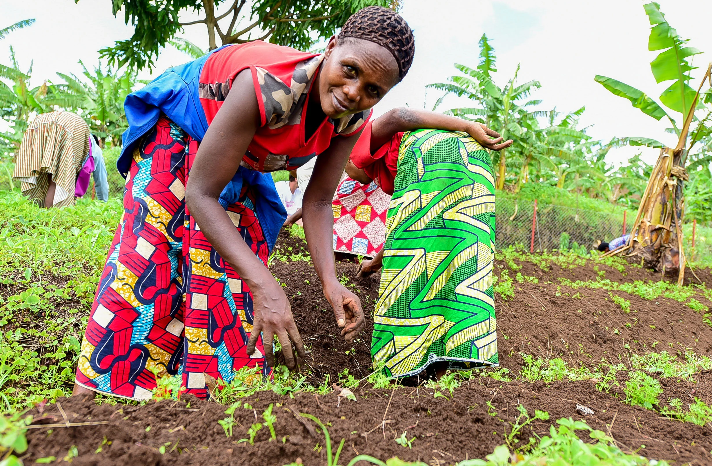 Five women were elected to the agriculture committee for dedicated maintenance.
