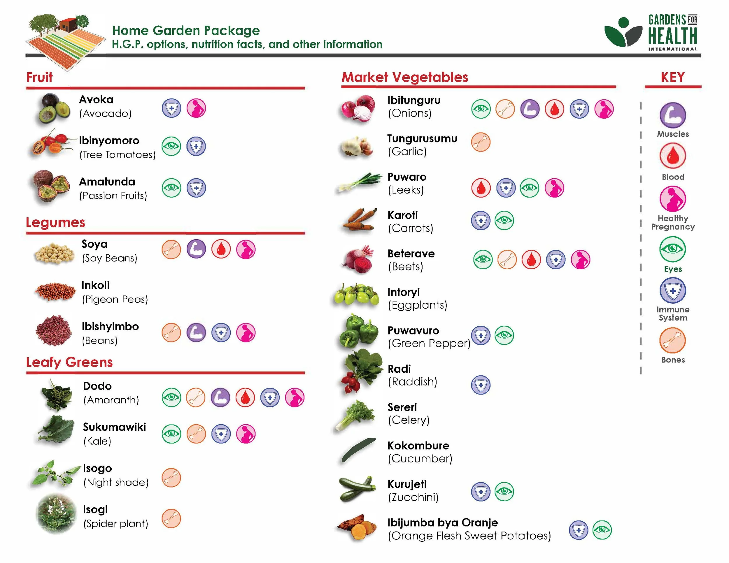 AG2_Home Garden Package(ENG) (1).jpg