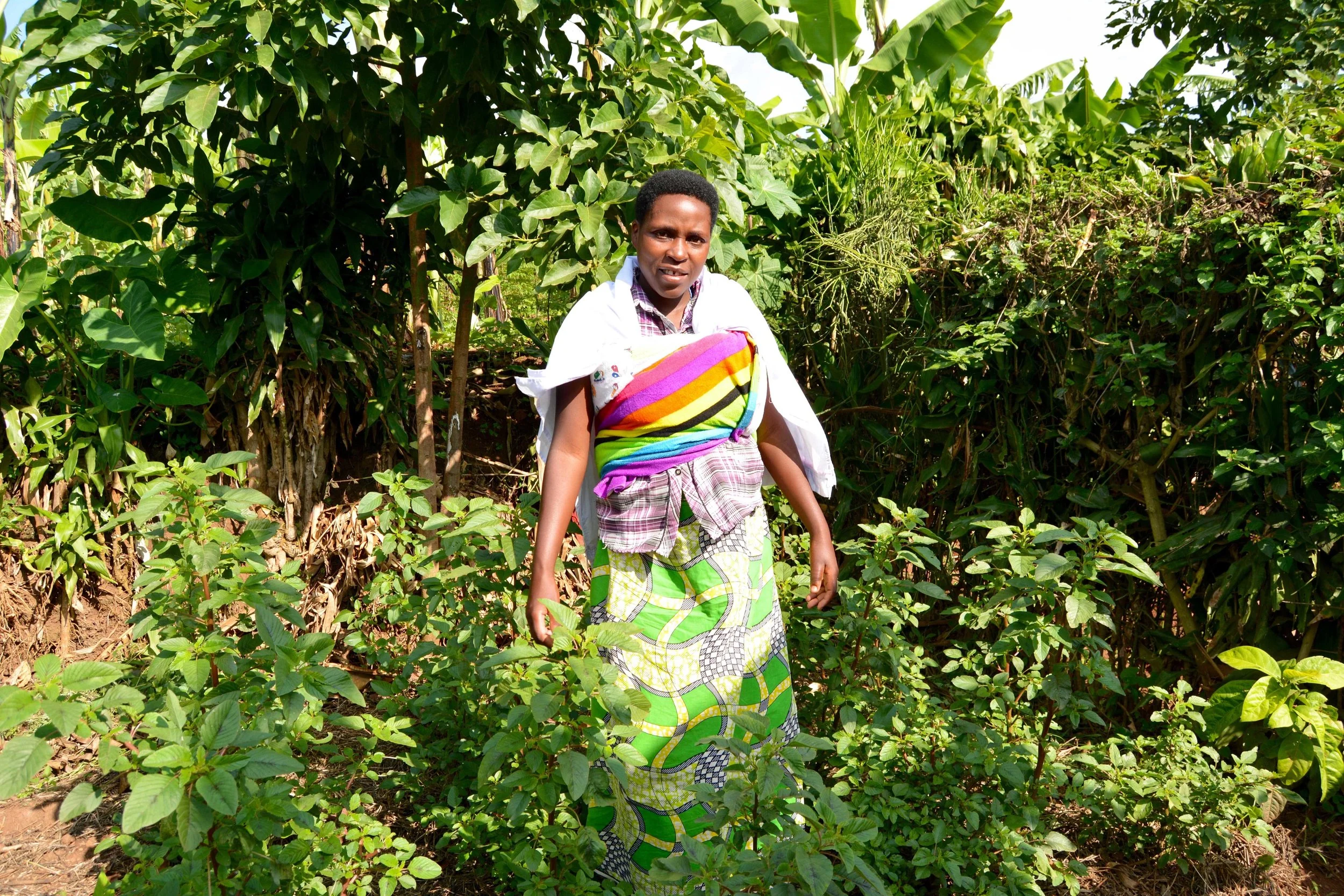 Claudine shows off her flourishing home garden full of Amaranth.