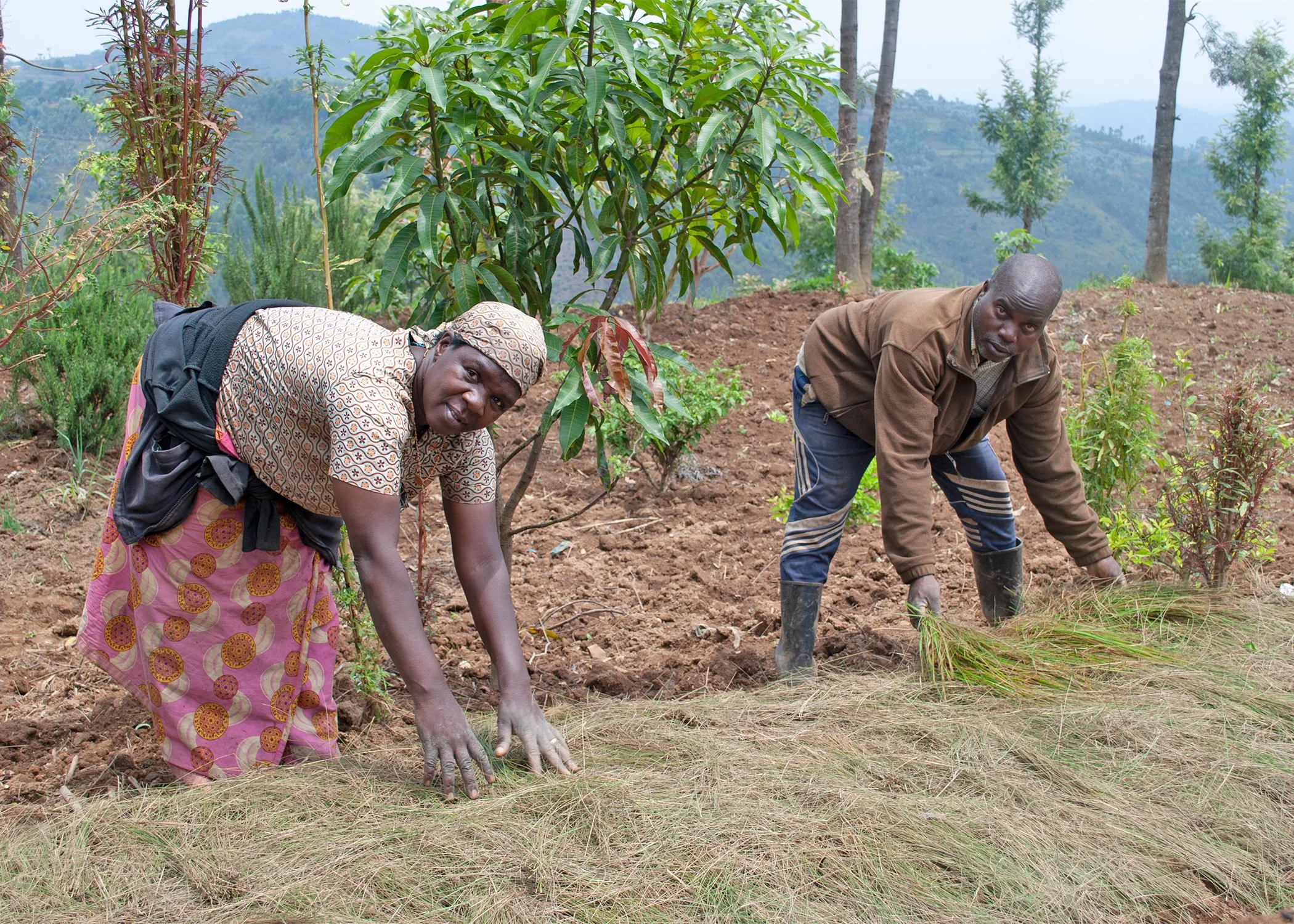 Vegetable Farming Transforms Teacher’s Life