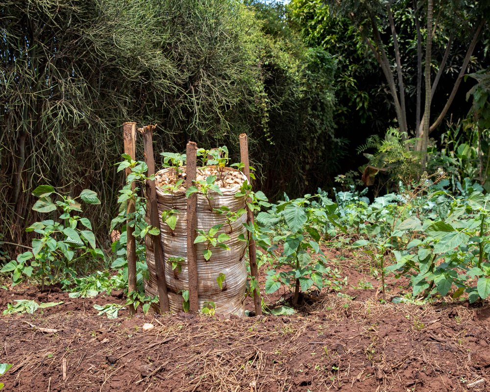 Sak Container Vegetable-Bed