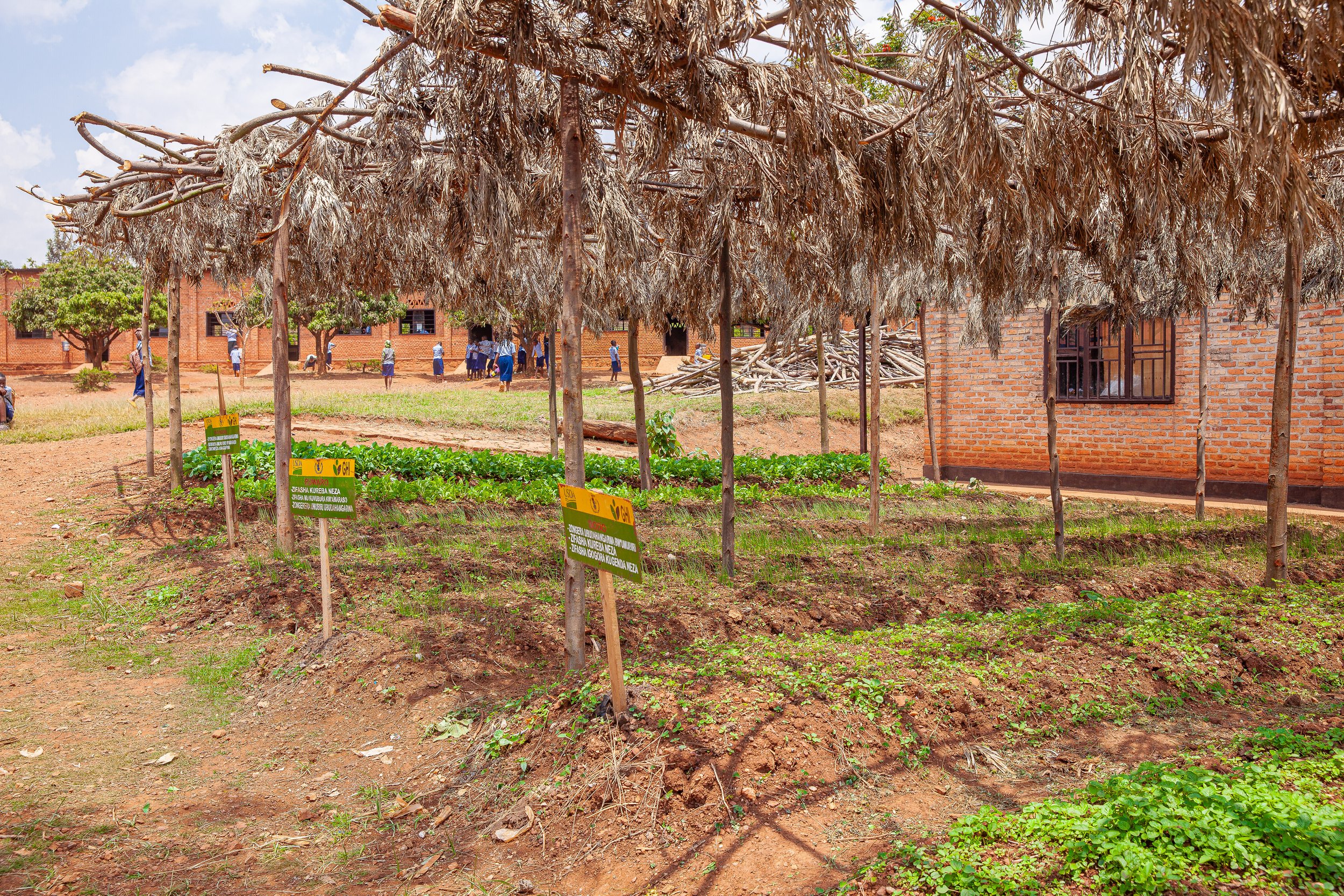 Emmanuel Kimonyo Success Story through the Home-Grown School Feeding ...