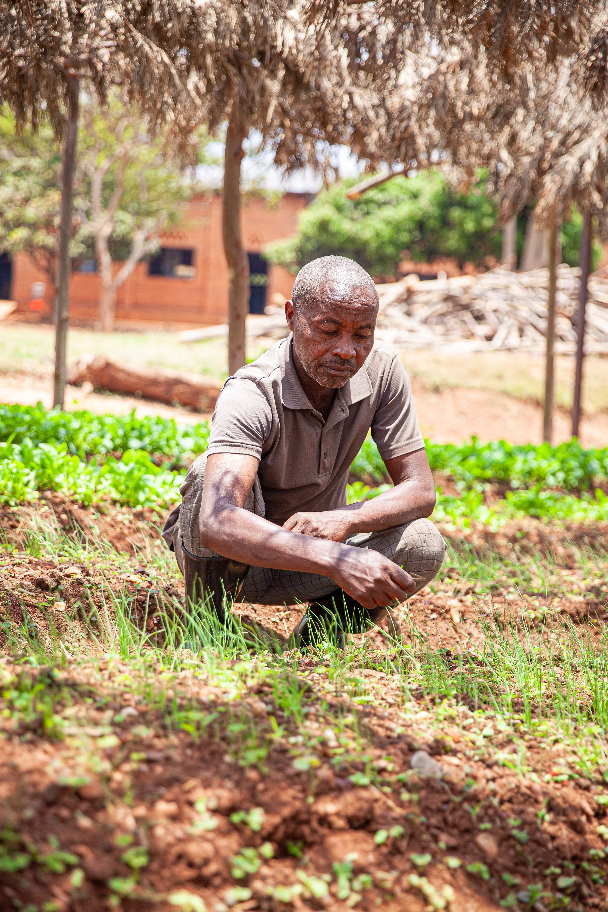 Emmanuel Kimonyo Success Story through the Home-Grown School Feeding ...