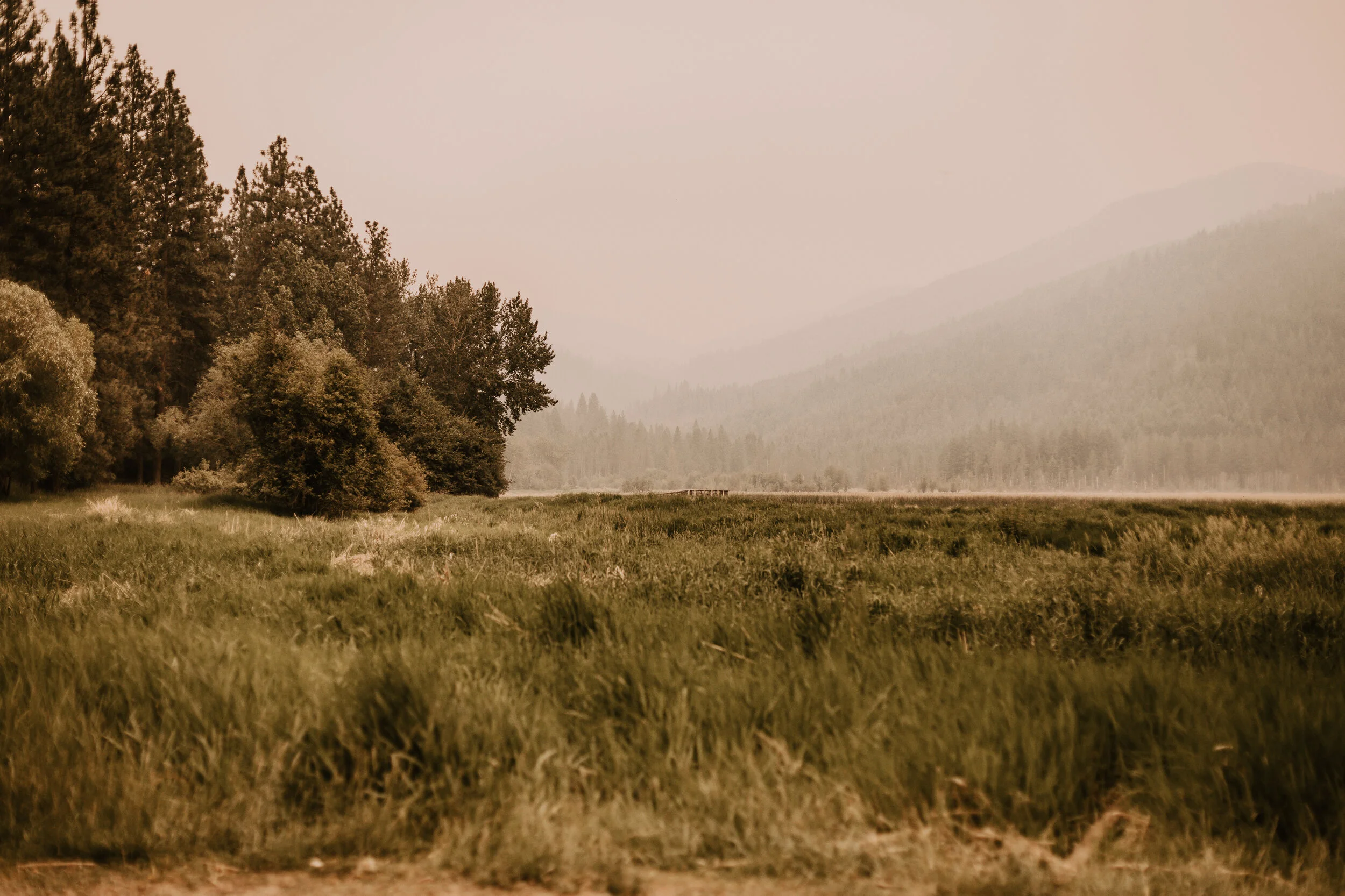 LibertyLakeEngagement-8647.jpg