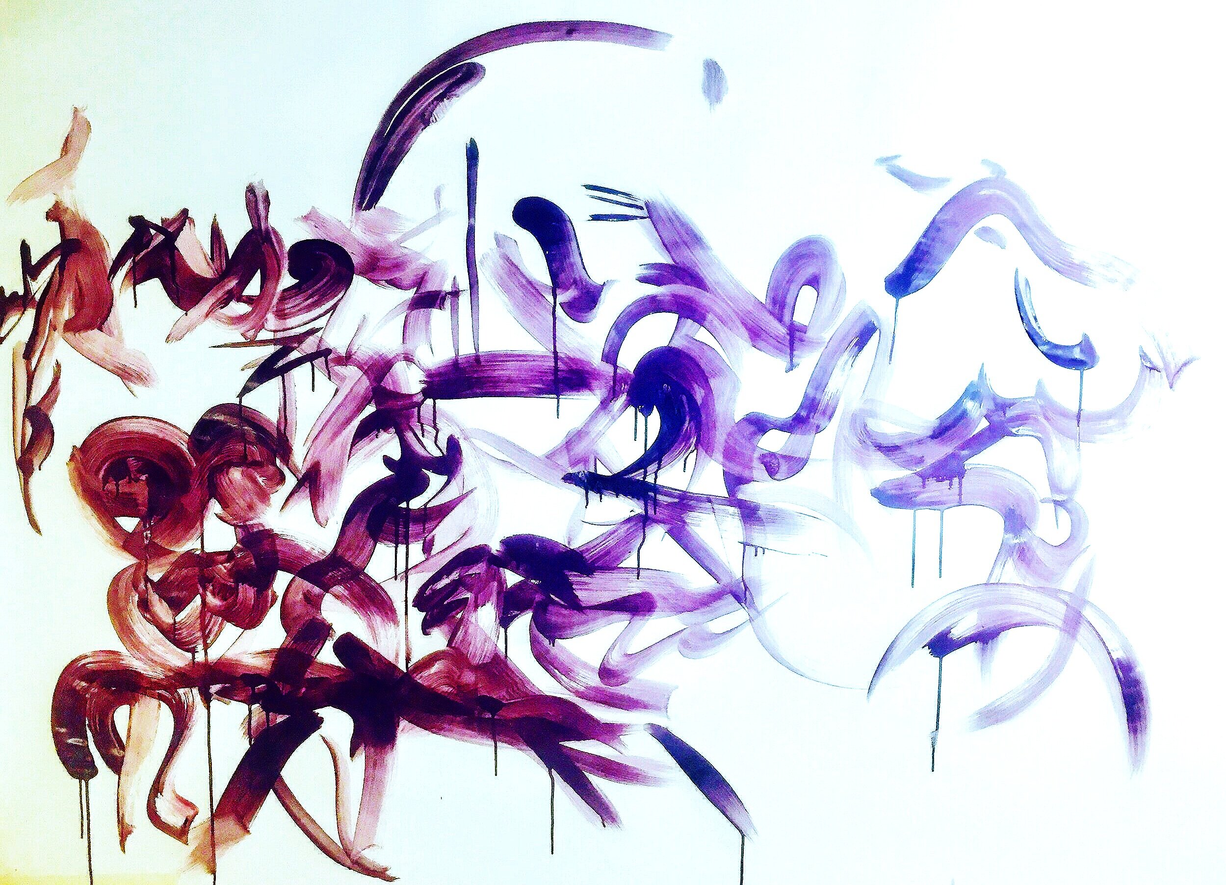 10 by 5 feet, wild caligraphy