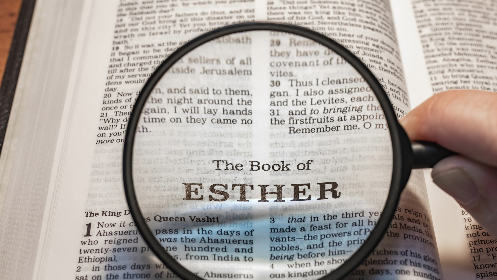 Esther banner.png