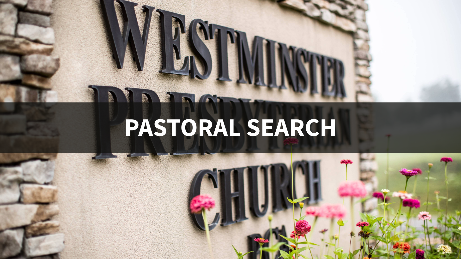 PASTORAL SEARCH HEADER 2.png
