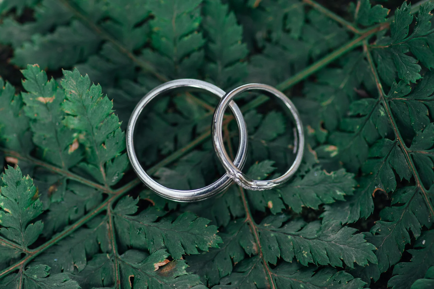 White gold wedding bands.jpg