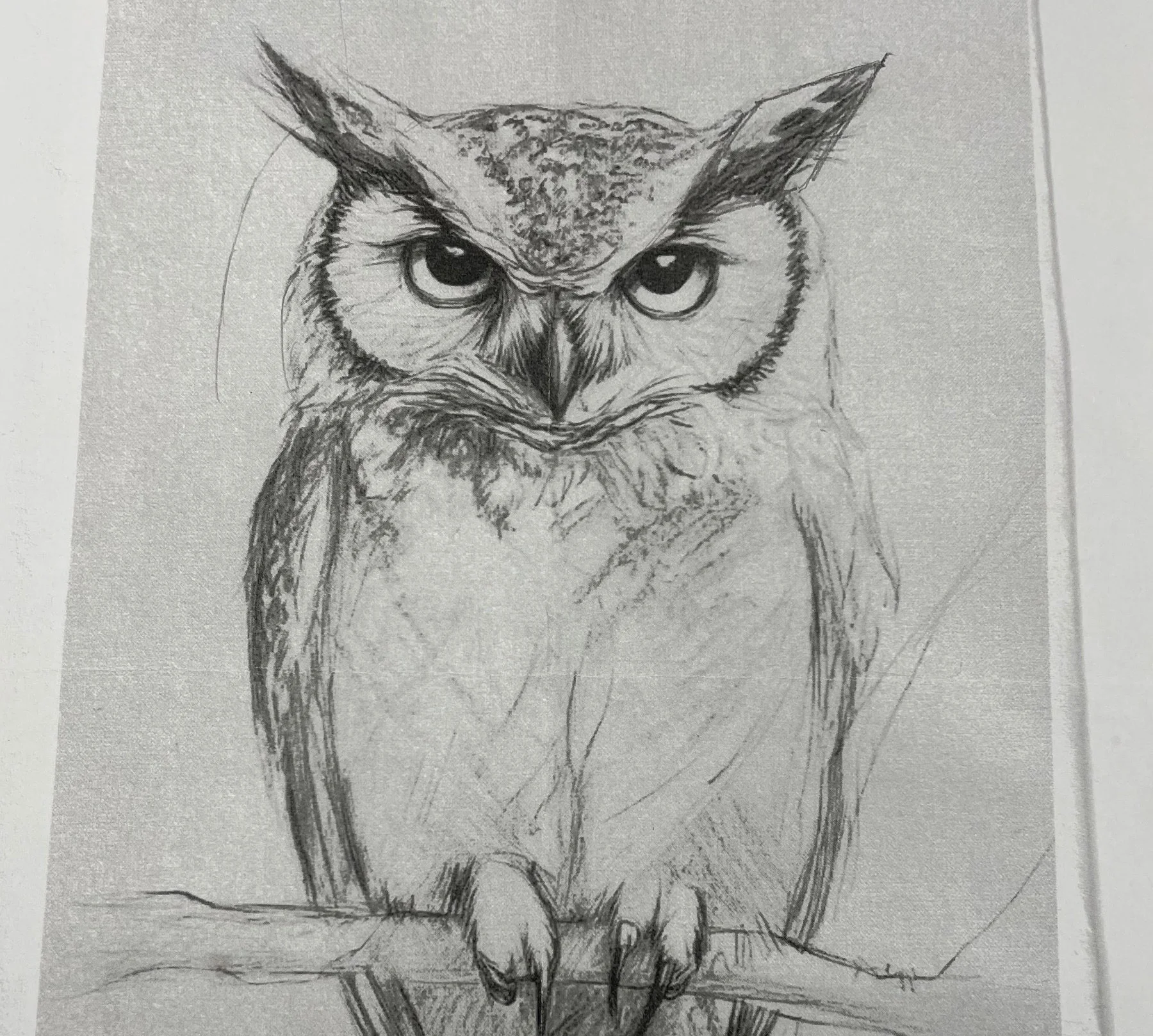 adult-drawing-class.jpg