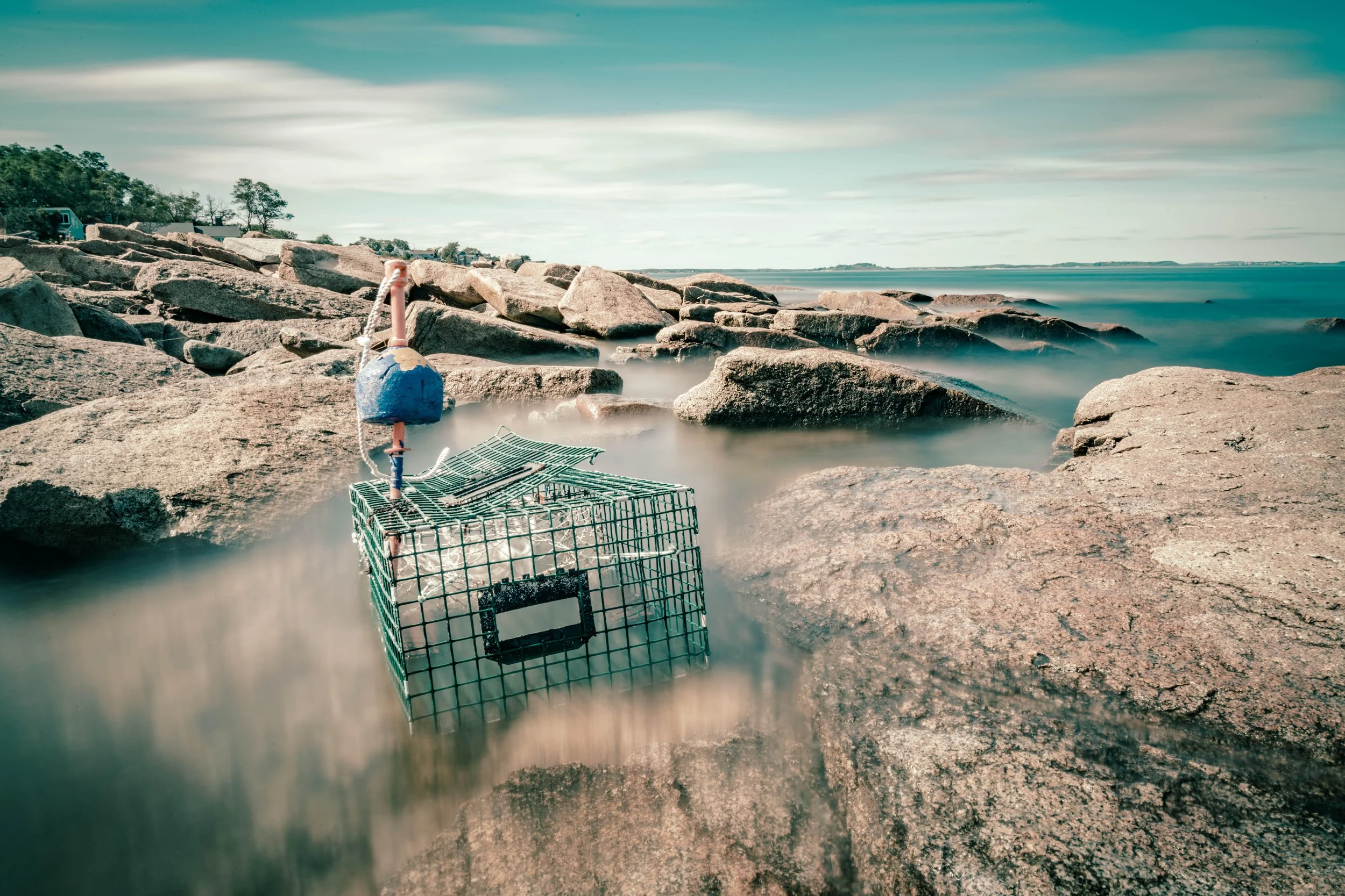 Photography Essentials: Building a Strong Foundation