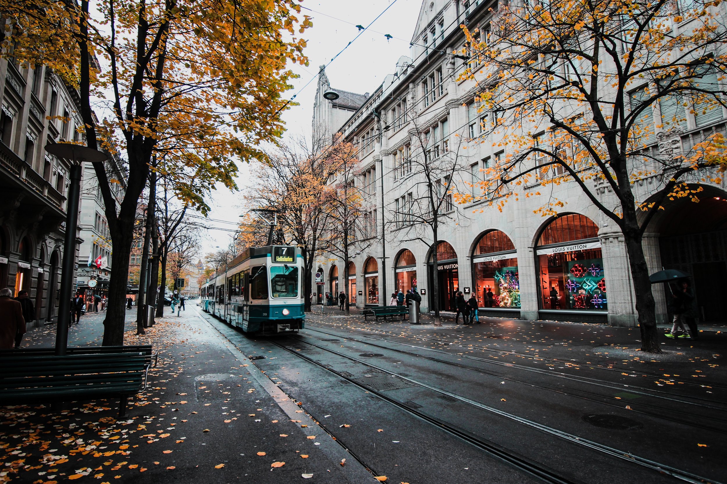 architecture-autumn-avenue-773471.jpg