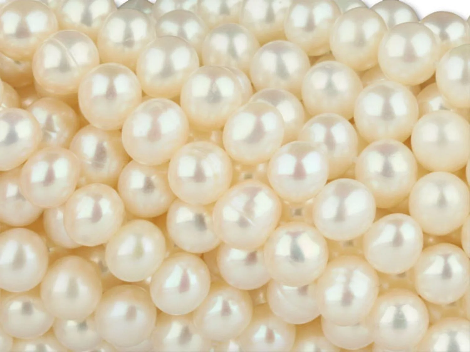 p-wht1.jpg