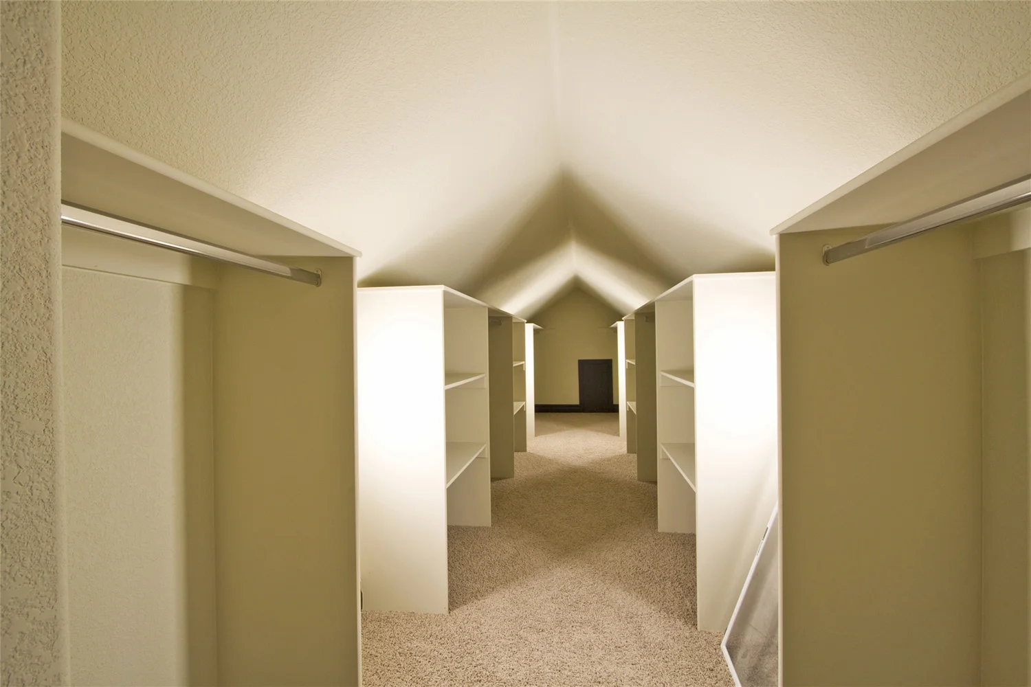 cha closet.jpg