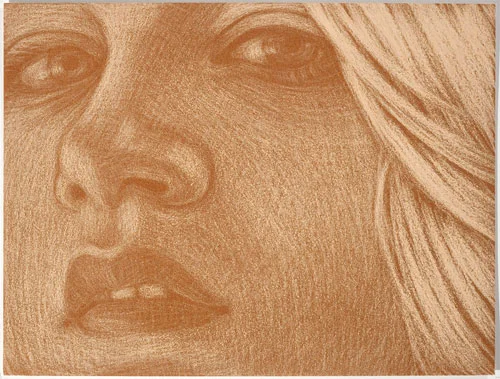 Amy Adler Runaway II (2010) Pastel on paper Framed: 28.7 x 36.7 cm (11.3 x 14.45 in)