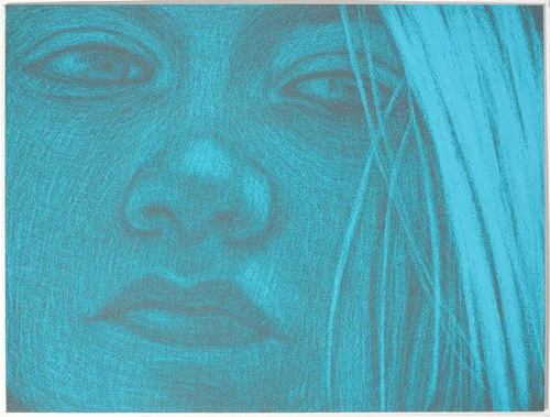 Amy Adler Runaway V (2010) Pastel on paper Framed: 28.7 x 36.7 cm (11.3 x 14.45 in)