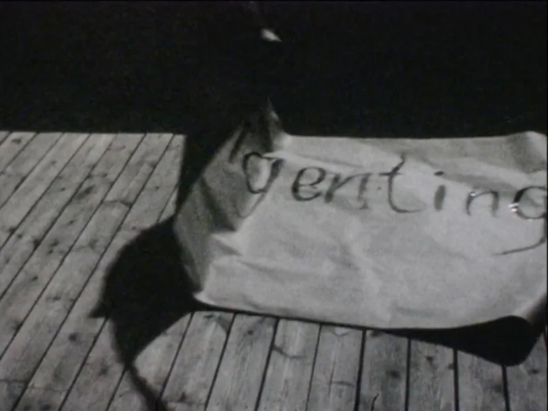 Annika Ström Ingenting –Nothing (2012) Filmed on Super8 transferred to dv, no sound 1:40 minute
